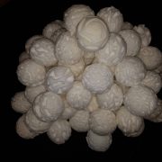 050 Droge Sneeuwballen – 1